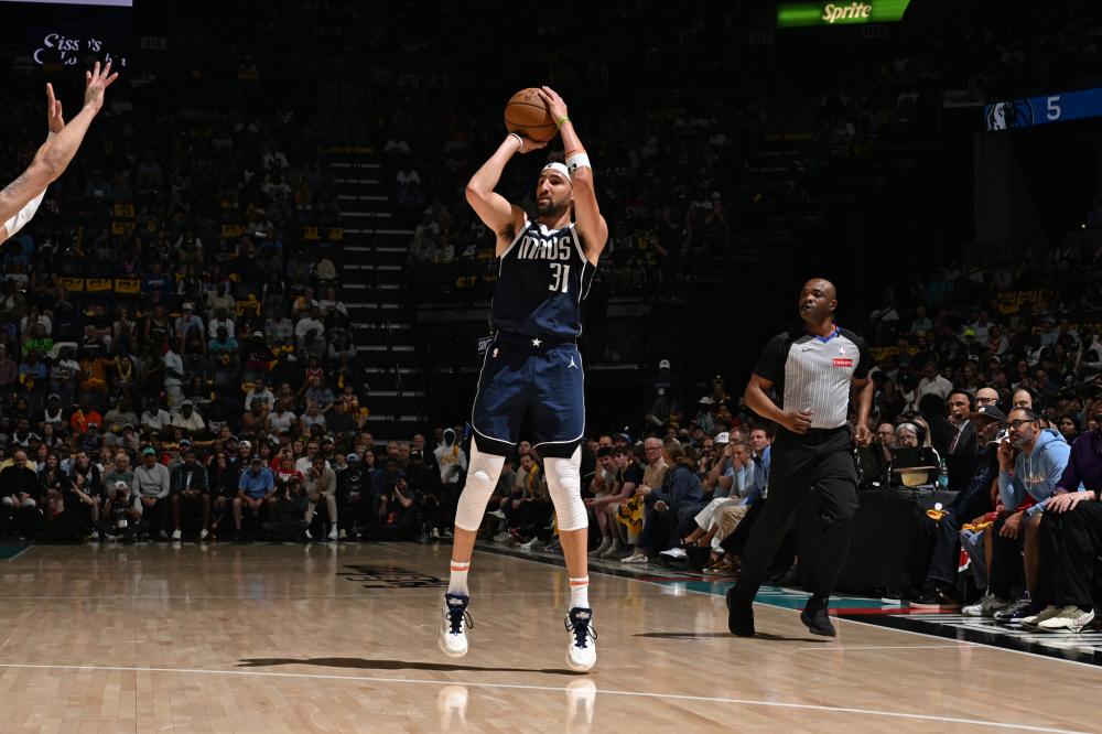 使灰熊在新 使灰熊在新